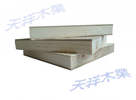 ��(x��)ľ�������T(m��n)�װ��Ԕ��(x��)��B