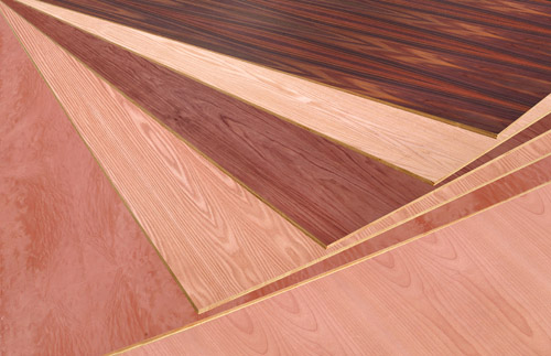 ����Ҭ�������N������b�����Ԕ��(x��)��B