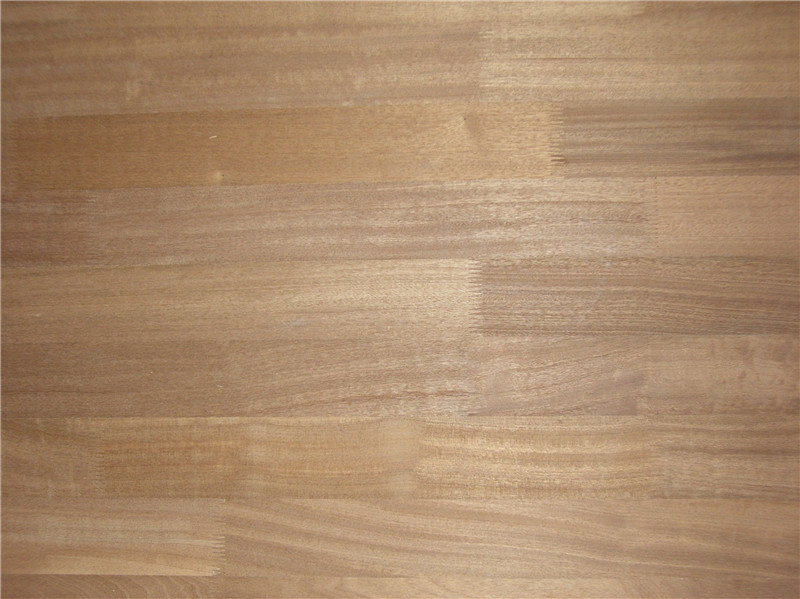 ɳ����ָ�Ӱ��Ԕ��(x��)��B