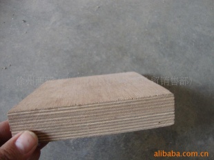 ȫ��¡ľ�z�ϰ����ڼ��b���Ԕ����B