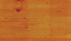 ����(gu��)�����S��