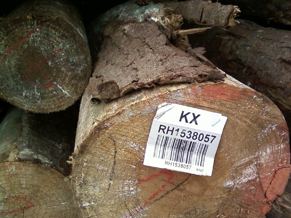 ݗ����ԭľ��ľƬ��Ԕ����B