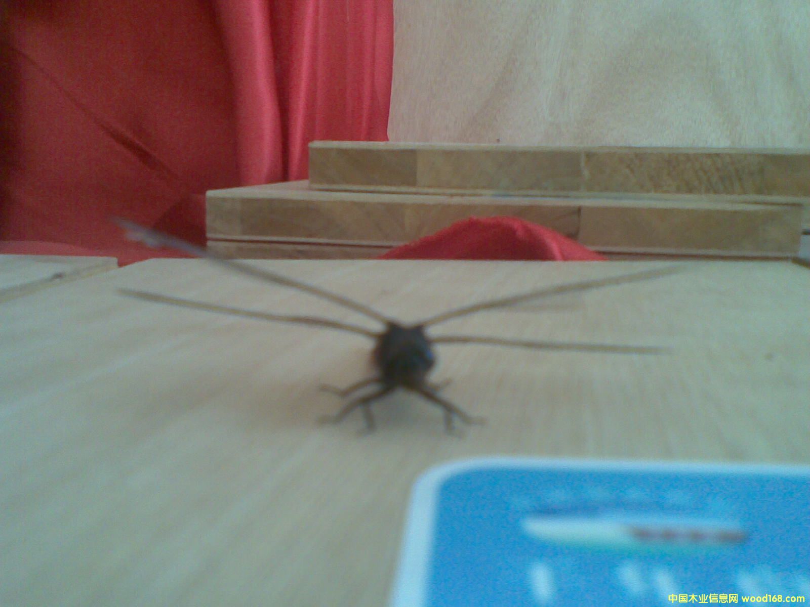 ��(x��)ľ�����Ԕ��(x��)��B