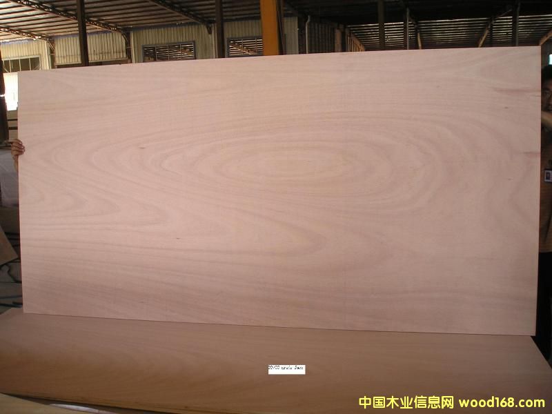 �W������ľо�z�ϰ��Ԕ��(x��)��B