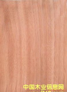 �t����Ƥ��Ԕ����B