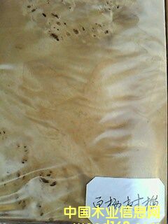 �ח�����Ԕ��(x��)��B