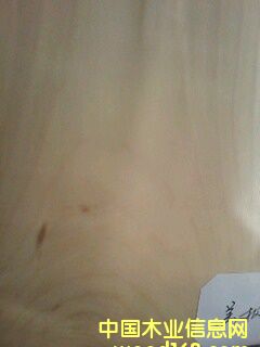 ��ľɽ�y��Ԕ��(x��)��B