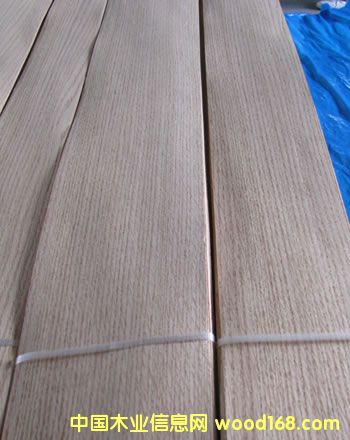 �t��ľƤ��Ԕ��(x��)��B