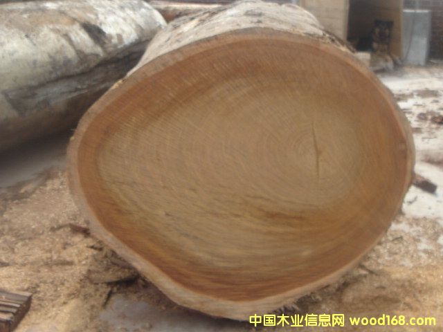 Ӳľ1��Ԕ����B