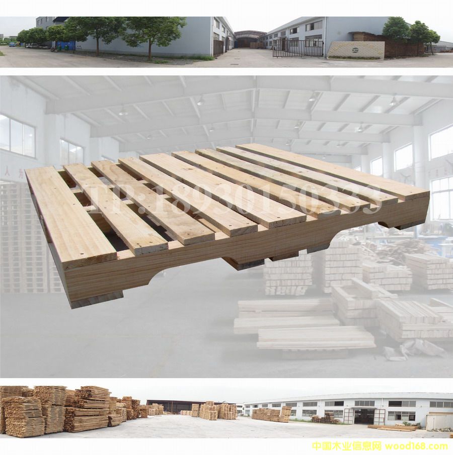 ���ڌ�(sh��)ľ�бP(p��n)��Ԕ��(x��)��B