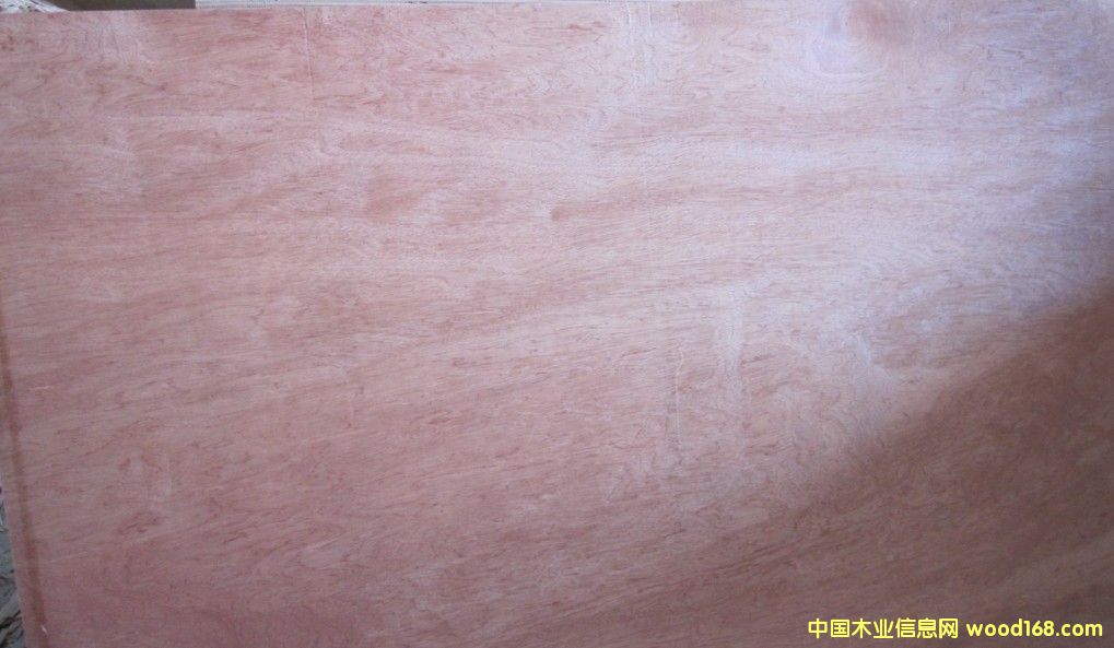 ���b����ľ�z�ϰ����p�N���ǹ�