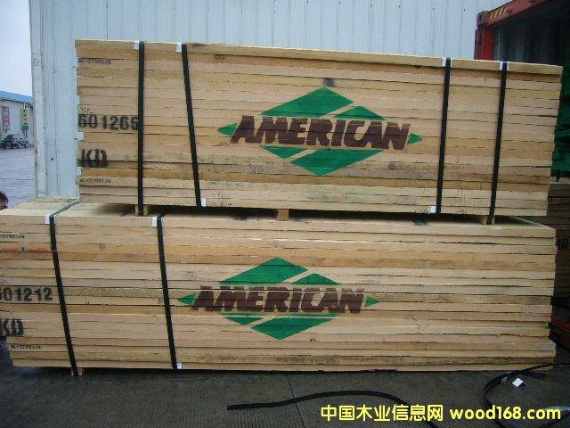 ����ľ�I(y��)(AMERICAN)��Ԕ��(x��)��B