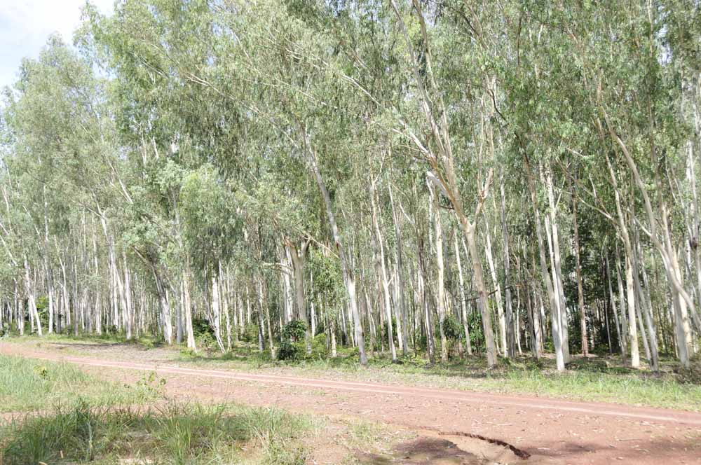 ̩����(y��u)�|(zh��)���ԭľ��Ԕ����B