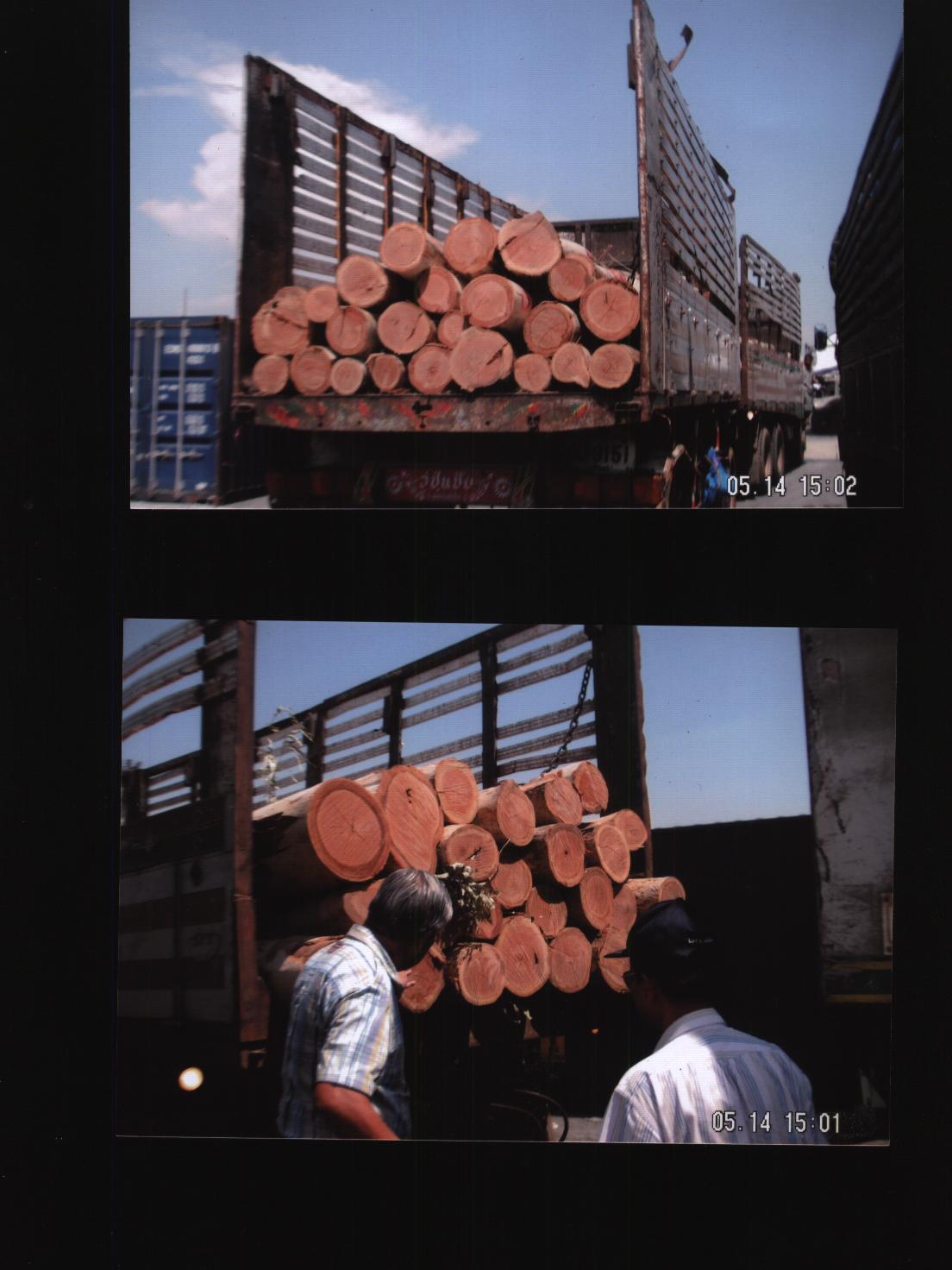 ̩����(y��u)�|(zh��)ԭľ����(y��ng)��Ԕ����B