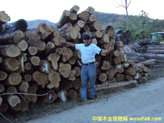 ��˹�_(d��)�����ľ��Ԕ��(x��)��B