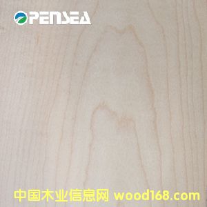 ��ľľƤ��Ԕ��(x��)��B