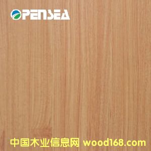 ����ľƤ��Ԕ��(x��)��B