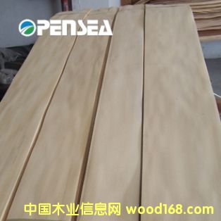 �׺���ľƤ��Ԕ��(x��)��B