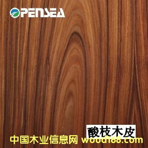 ��֦ľƤ��Ԕ��(x��)��B