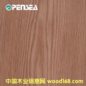 �t��ľƤ��Ԕ��(x��)��B