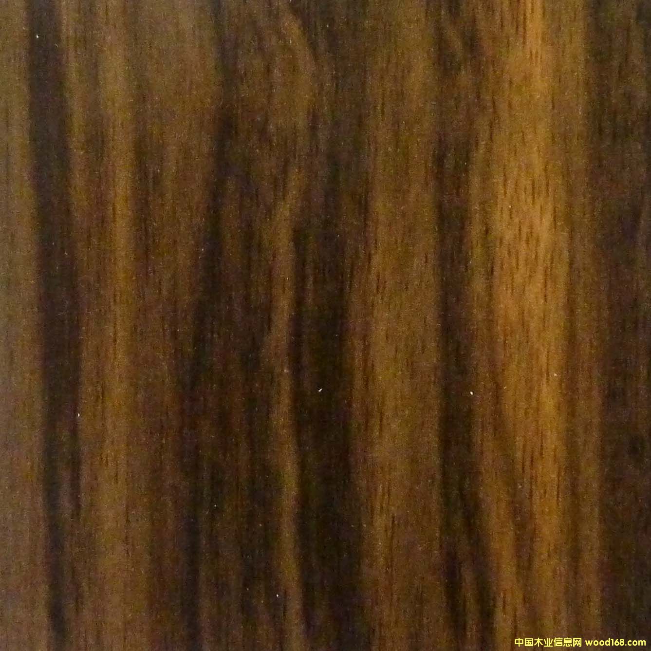 �o(w��)���F���Ԕ��(x��)��B