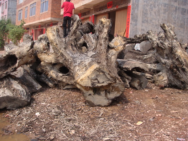 ��ľ��(sh��)����Ԕ��(x��)��B