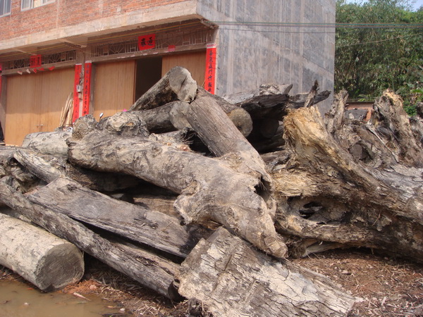 ��ľԭľ2��Ԕ��(x��)��B