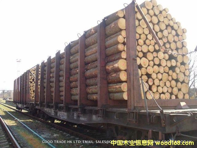 �c(di��n)���鿴��ɼ�Ŵ�DƬ