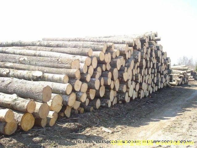 �c(di��n)���鿴�����ɷŴ�DƬ