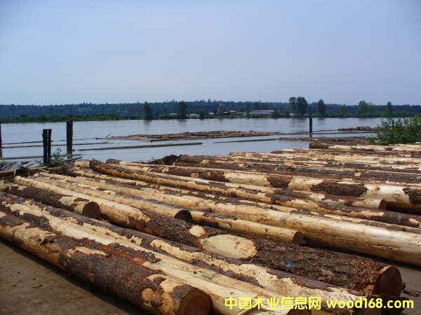 �����Ϸ���ԭľ��Ԕ��(x��)��B