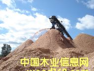 �����Ϸ���ľƬ��Ԕ��(x��)��B