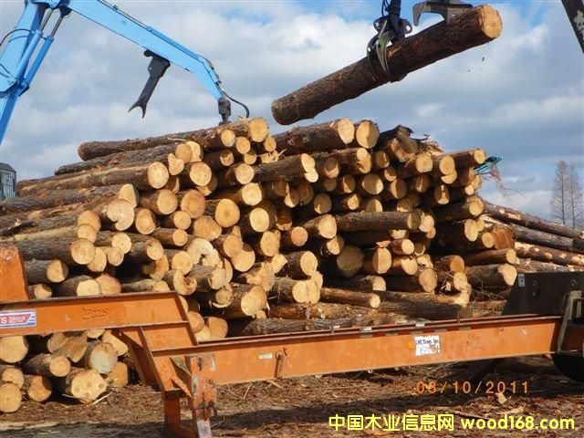 ����������ԭľ��Ԕ��(x��)��B