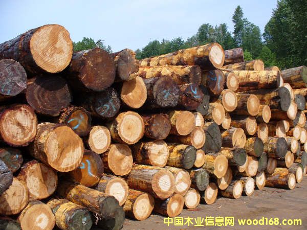 ����������ԭľ��Ԕ��(x��)��B