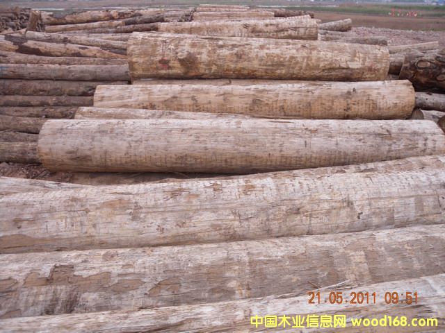 ݗ���ɵ�Ԕ����B