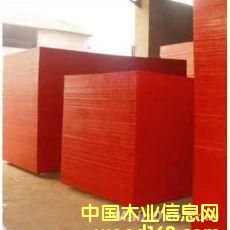 �t���Ԕ��(x��)��B