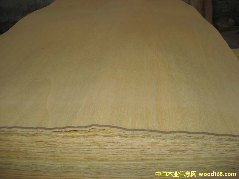 �Sͩ�ΰ��Ԕ����B