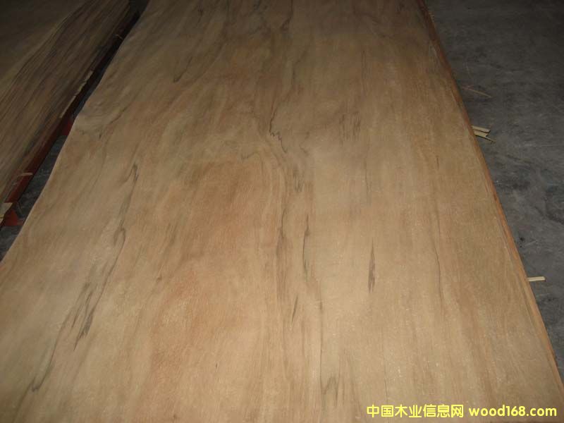 ����ľ�ΰ��Ԕ����B