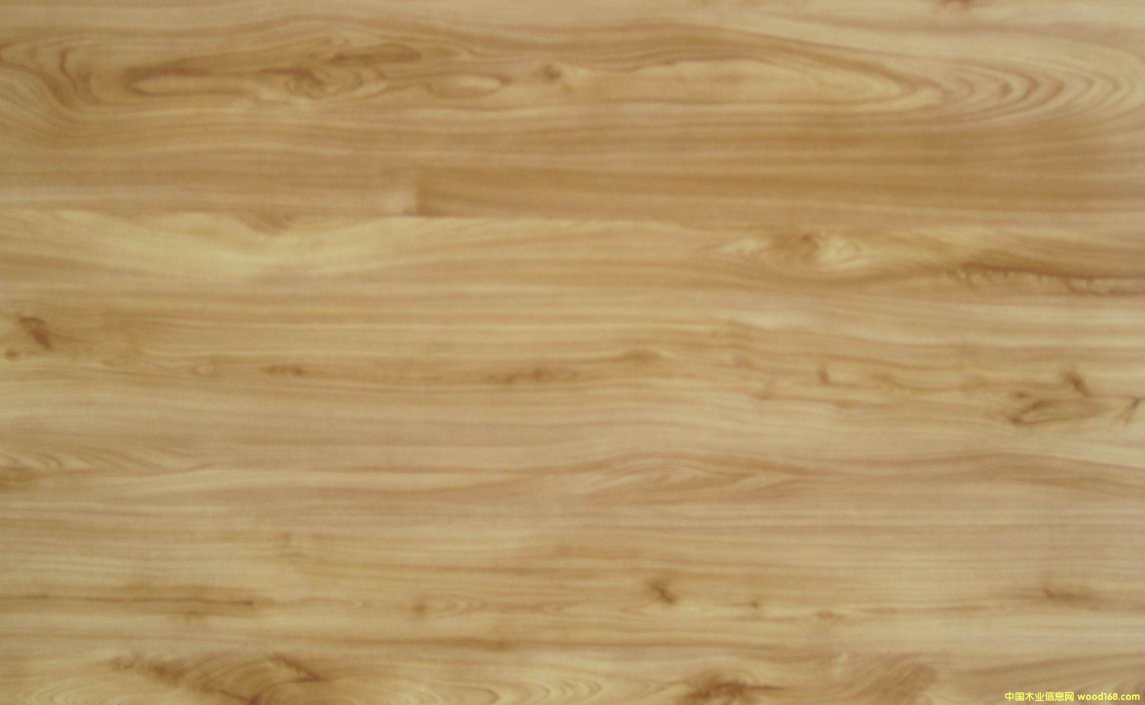 �c(di��n)���鿴1501�Ŵ�DƬ