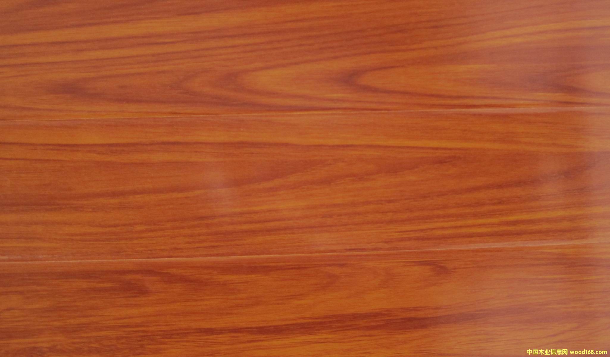 �c(di��n)���鿴1509�Ŵ�DƬ