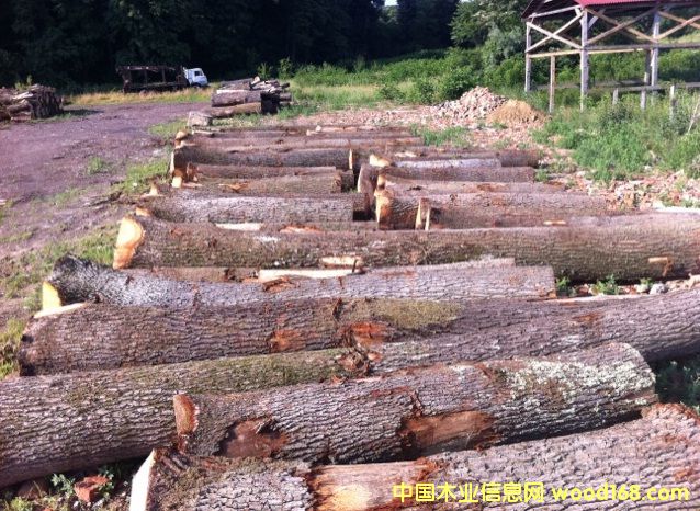 �|�W��ľ-A����Ԕ����B