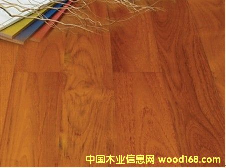 ɭ��֮�þ�Ʒ���y��Ԕ����B