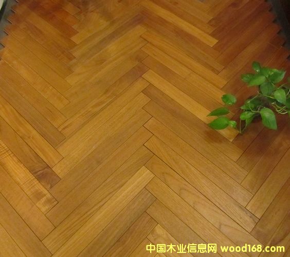 ɭ��֮��ƴ���ذ�����ƴ��Ԕ����B