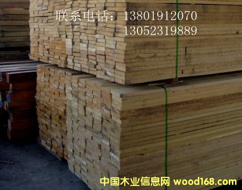 ����ľ��Ԕ����B