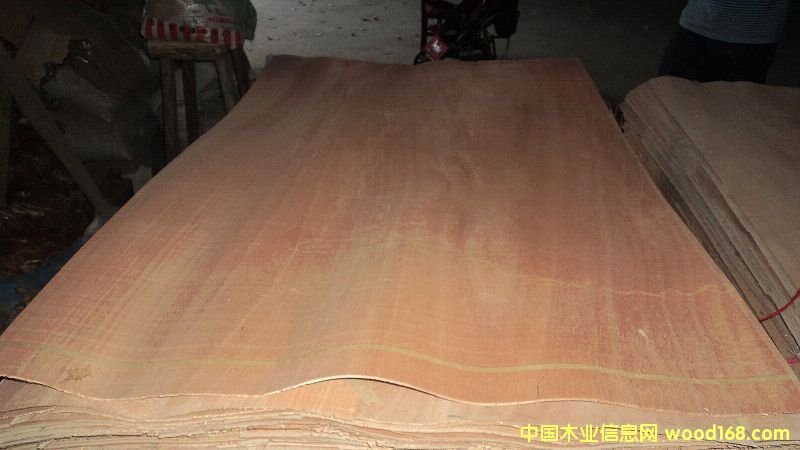 �W�����������Ԕ��(x��)��B