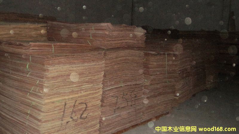 �sľ�o��о���Ԕ��(x��)��B