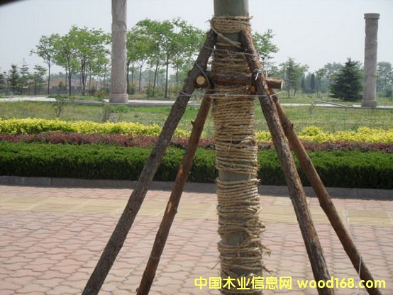 ֲ����ɼľ֧�ΗU