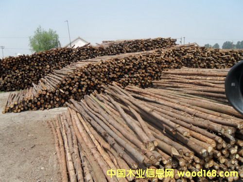 ɼľ�U����ľ�U