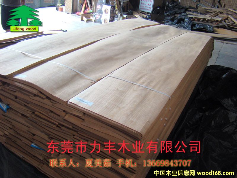 ����ľƤ��Ԕ��(x��)��B