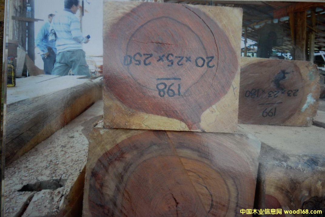 ��ֺ�S̴��Ԕ��(x��)��B