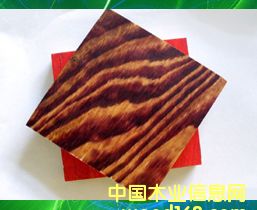 ��ȩ�z�潨��ģ���Ԕ����B